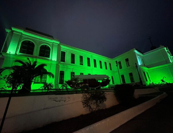 WhatsApp Image 2025-11-25 at 21.33.25